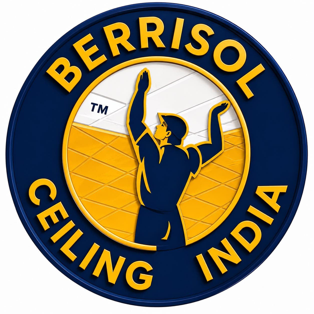Berrisol Ceiling India logo