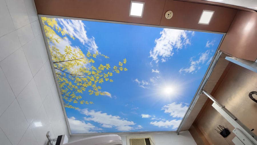 Berrisol ceiling project