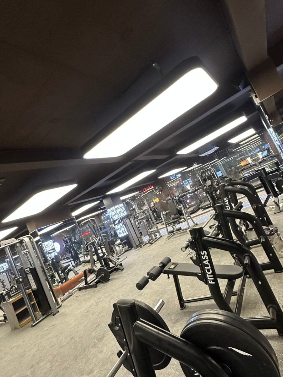 Berrisol ceiling project
