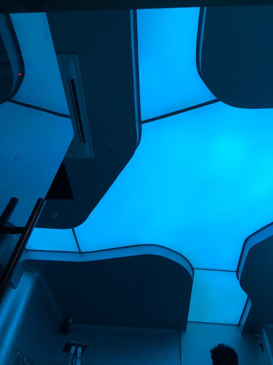 Berrisol ceiling project