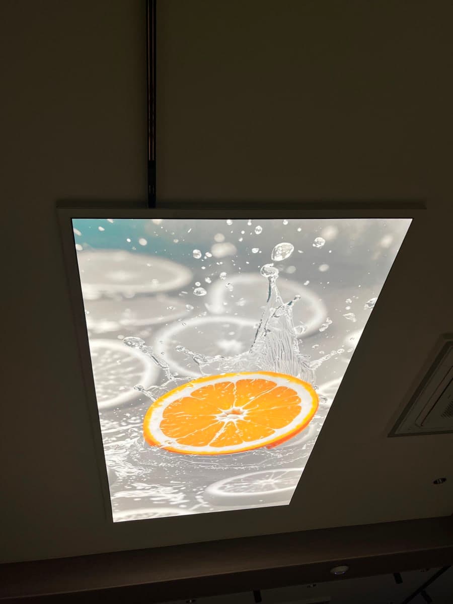 Berrisol ceiling project